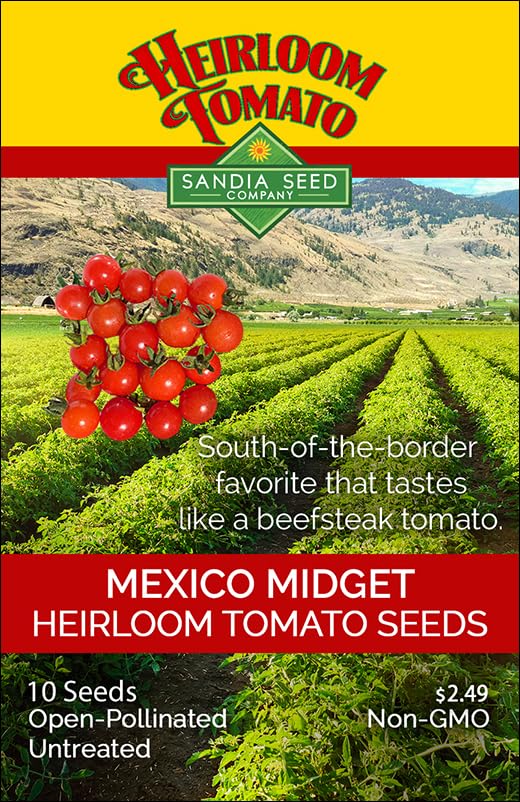 Amazon.com : Mexico Midget Heirloom Tomato 10 Seeds : Patio, Lawn